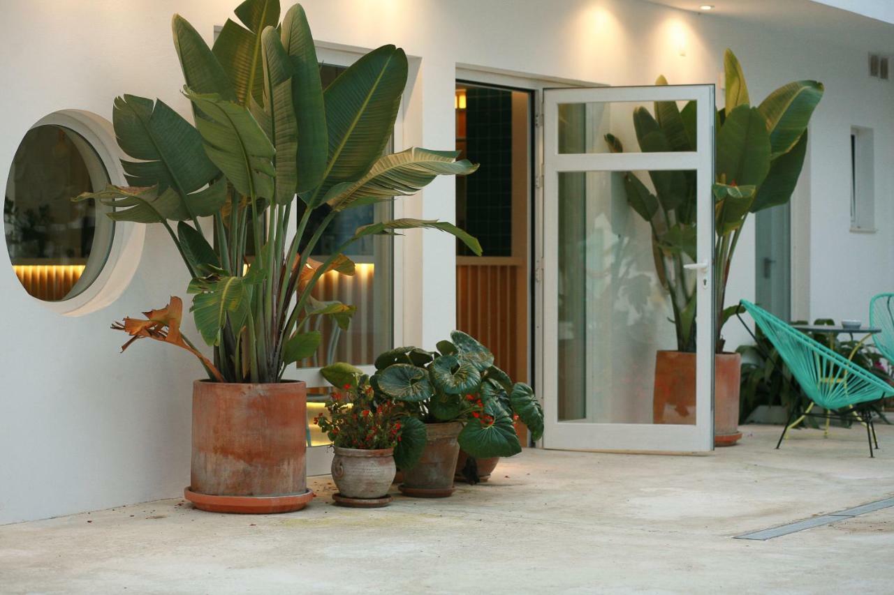 Hostal Las Cumbres Conil De La Frontera Eksteriør bilde